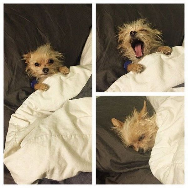 Morning Picdump