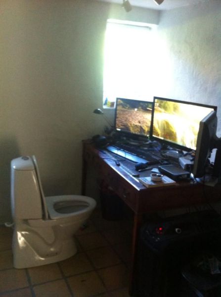 Morning Picdump