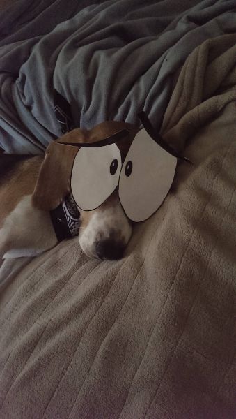 Morning Picdump