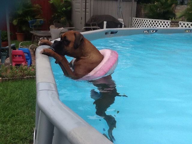 Morning Picdump