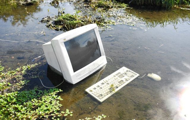 Morning Picdump