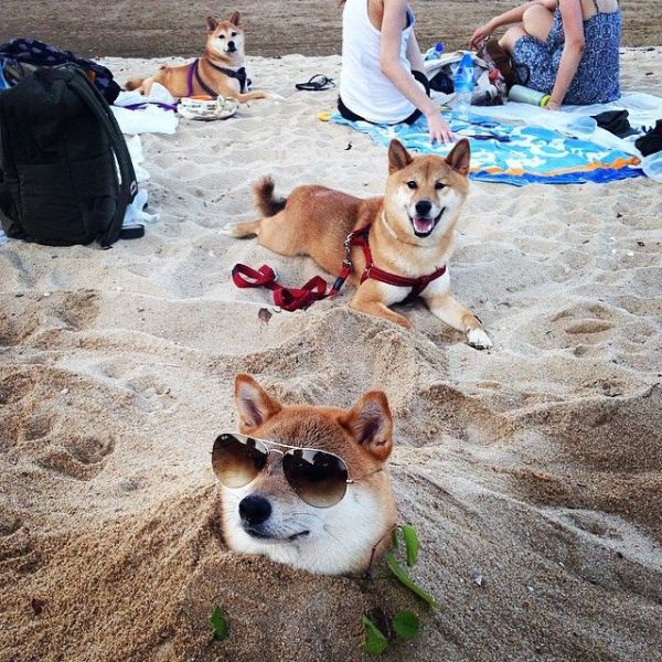 Morning Picdump