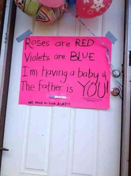 Morning Picdump