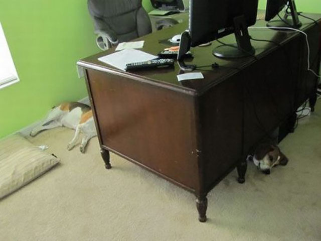 Just Wait Until You See It…