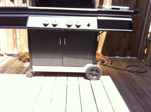 Just Wait Until You See It…