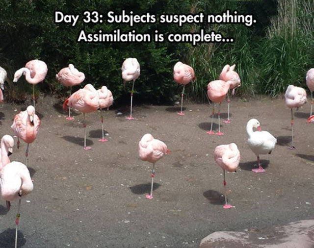 Just Wait Until You See It…