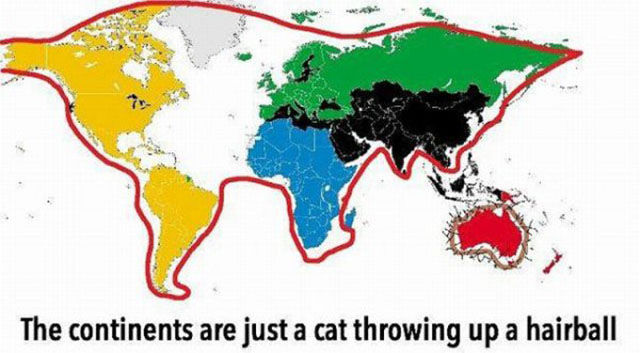 Just Wait Until You See It…