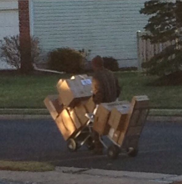 Morning Picdump