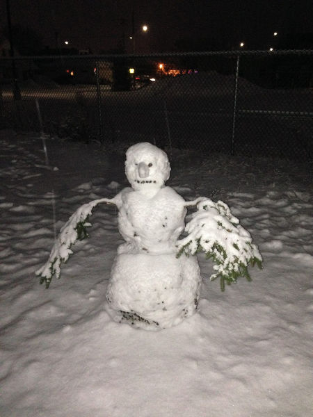 Morning Picdump