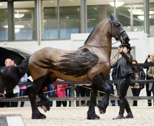 Morning Picdump