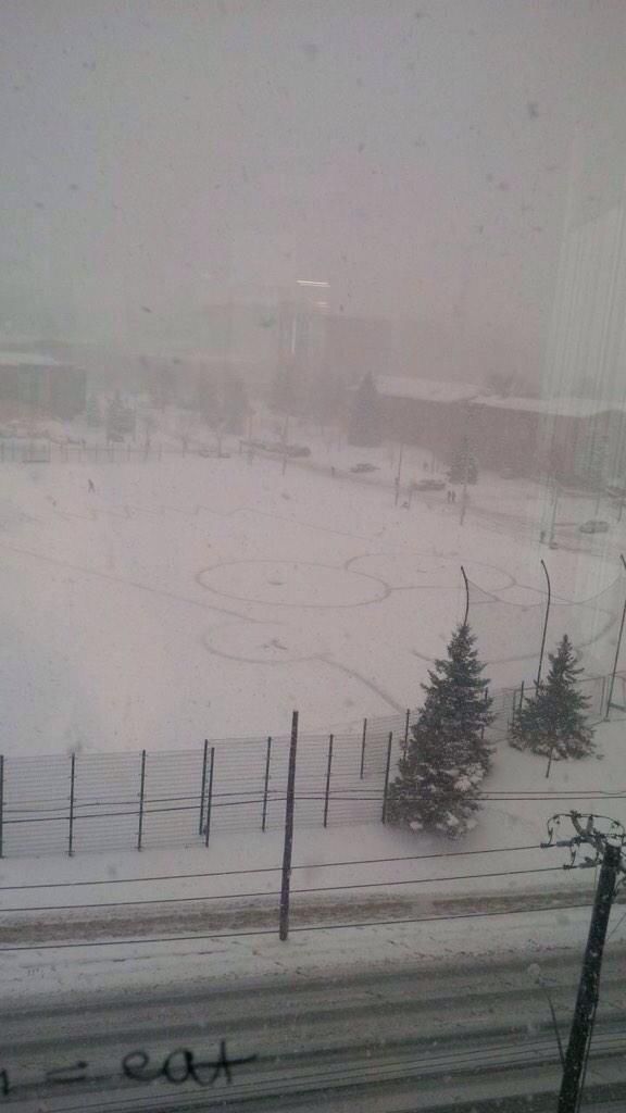 Morning Picdump