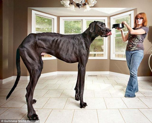 Morning Picdump