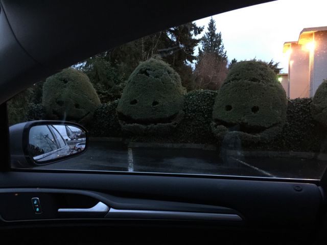 Morning Picdump