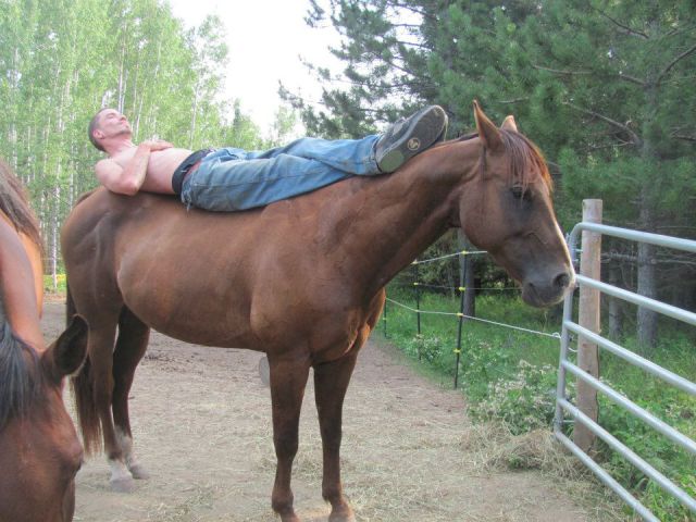 Morning Picdump
