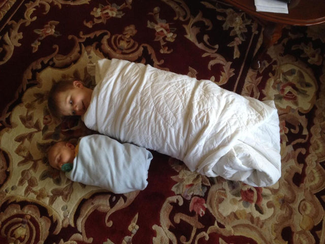 Morning Picdump