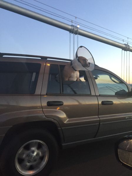 Morning Picdump