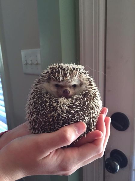 Morning Picdump