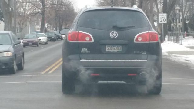 Morning Picdump