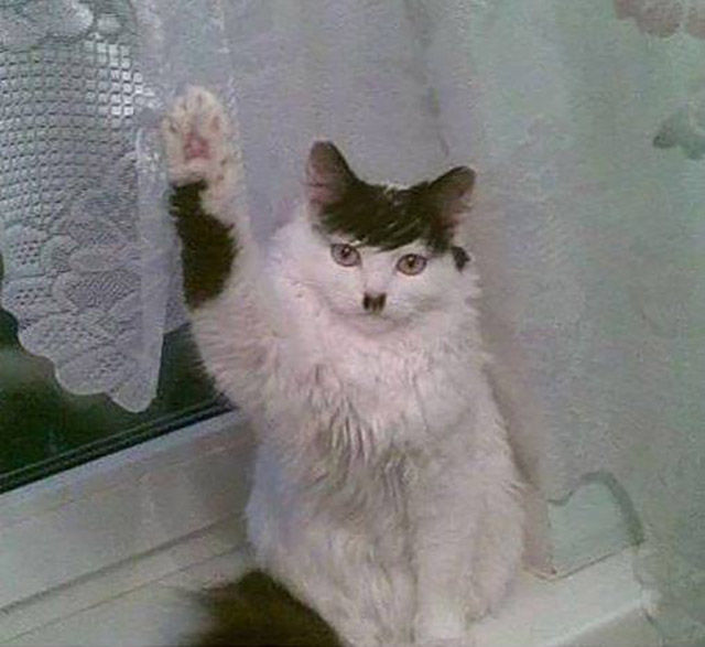 Life Is Full of Funny Coincidences