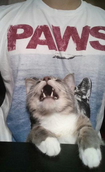 Life Is Full of Funny Coincidences