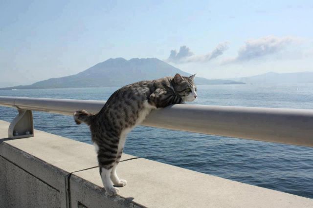 Morning Picdump