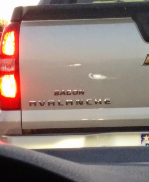 Morning Picdump