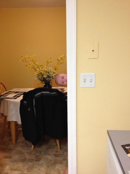 Morning Picdump