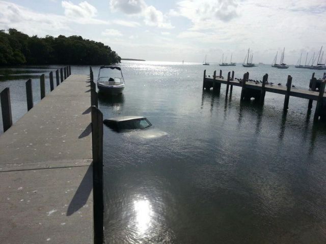 Daily Picdump [WEEKEND EDITION]