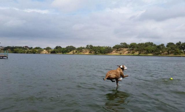 Daily Picdump [WEEKEND EDITION]