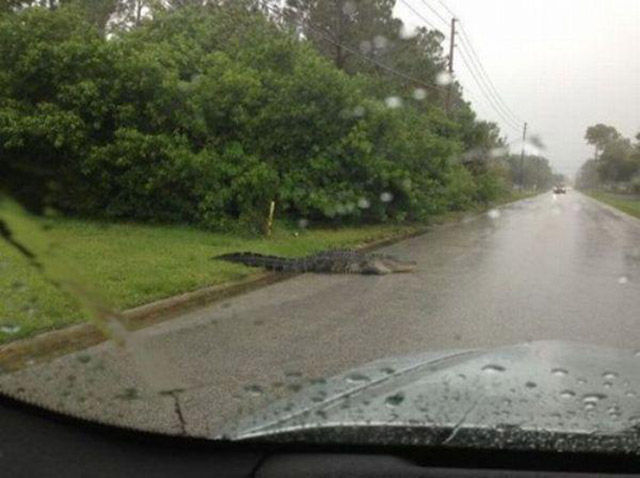 Hell Nope, Not in a Million Years!