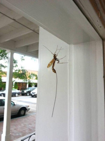 Hell Nope, Not in a Million Years!