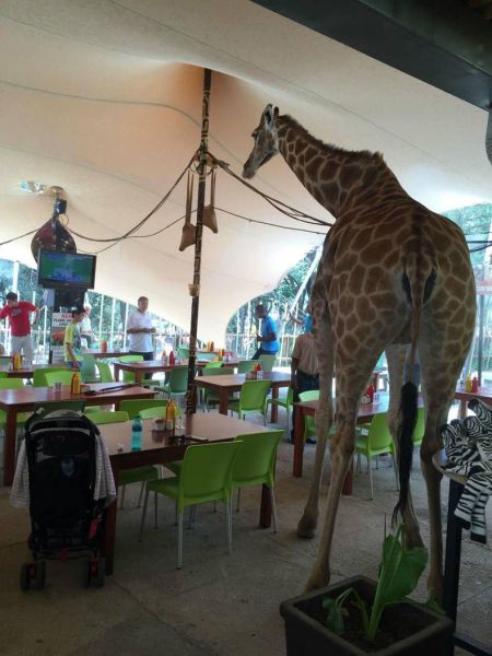 Daily Picdump