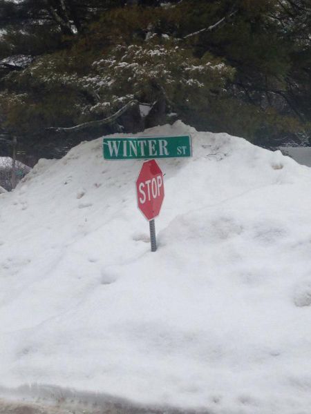 Daily Picdump