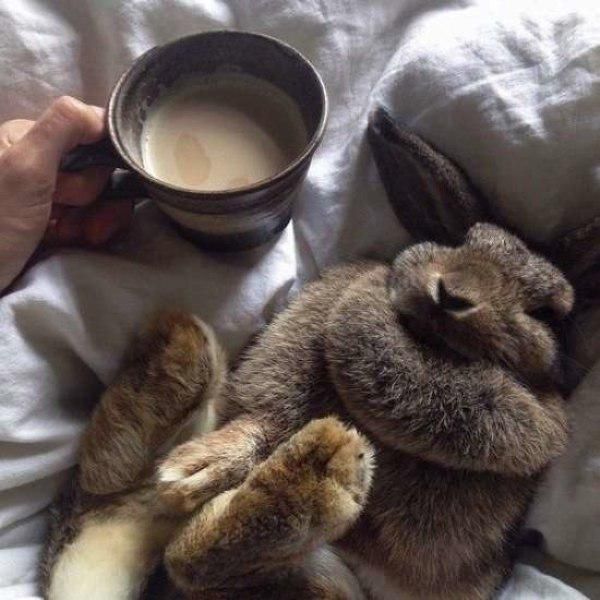 Daily Picdump