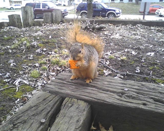 Daily Picdump