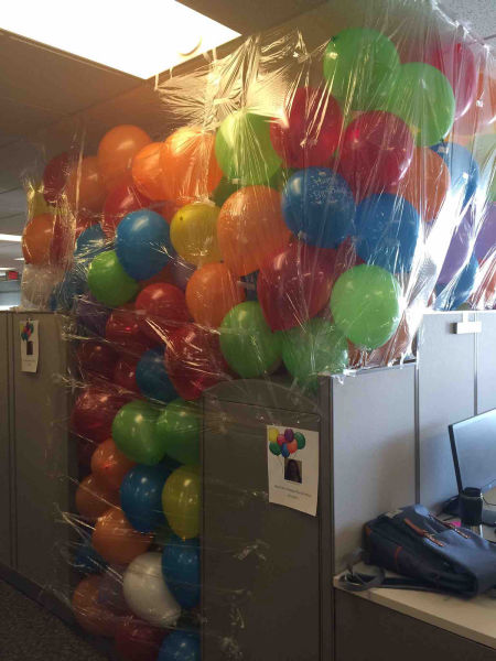 Morning Picdump