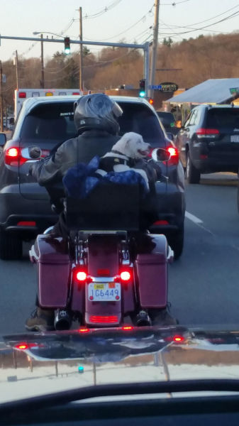 Morning Picdump