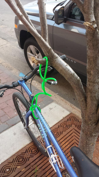 Morning Picdump