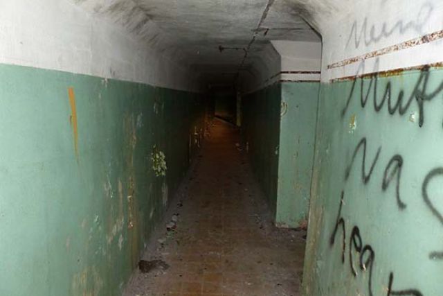 Scary Underground Tunnel Discovered Under a Neglected Home