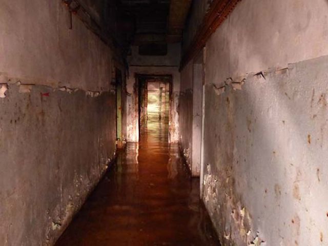 Scary Underground Tunnel Discovered Under a Neglected Home