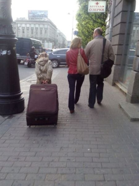 Daily Picdump