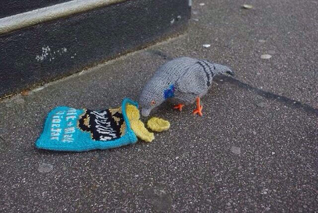 Morning Picdump