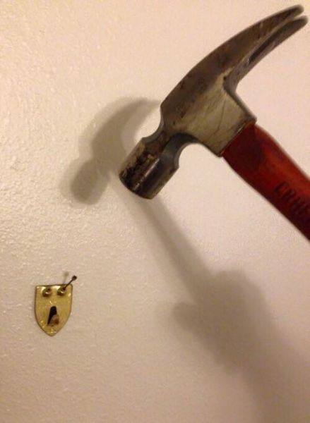 Morning Picdump