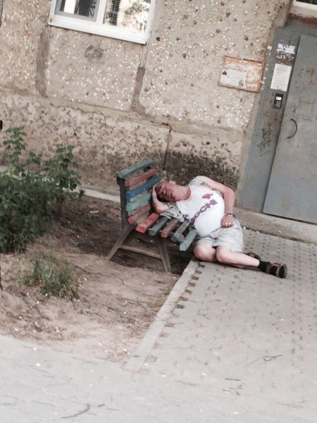Morning Picdump
