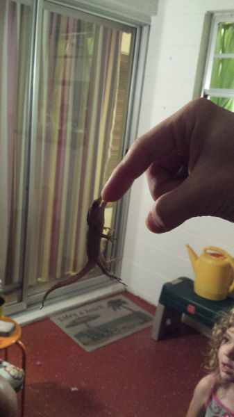 Morning Picdump