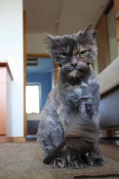 Morning Picdump