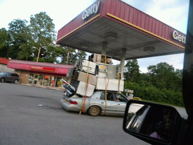 Morning Picdump