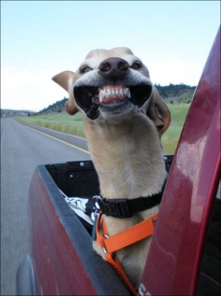 Morning Picdump