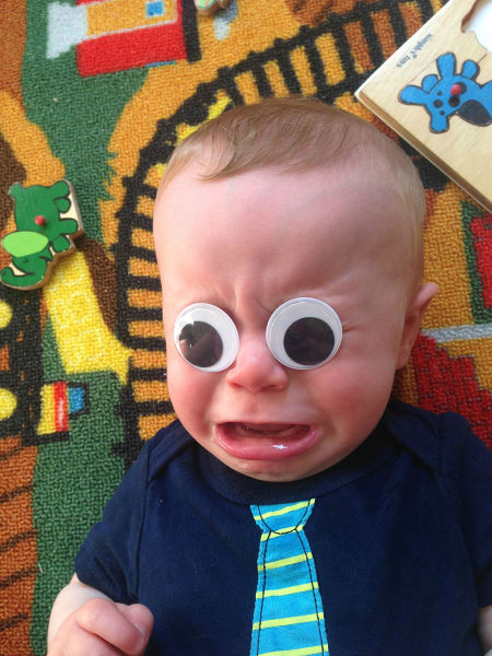 Morning Picdump