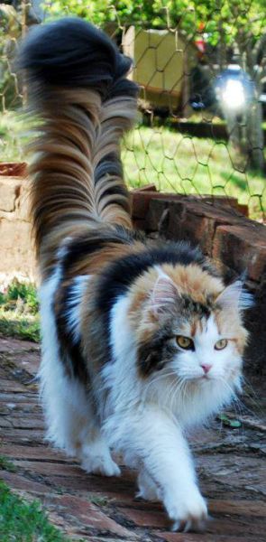 Morning Picdump